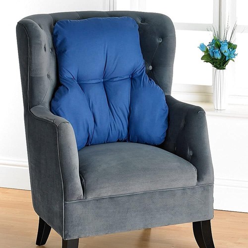 Easylife nhs back support - back,